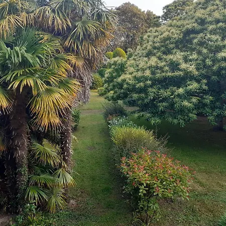 Bed and Breakfast Des Cordeliers *
